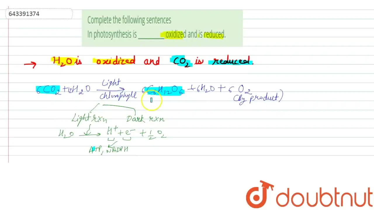 Complete the following sentences In photosynthesis is oxidized and