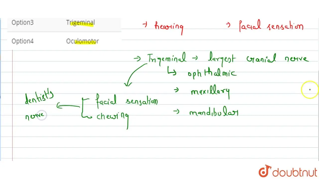 Cranial nerve called dentist's nerve is