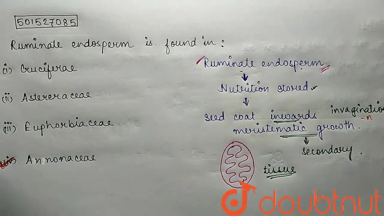Ruminate endosperm is found in