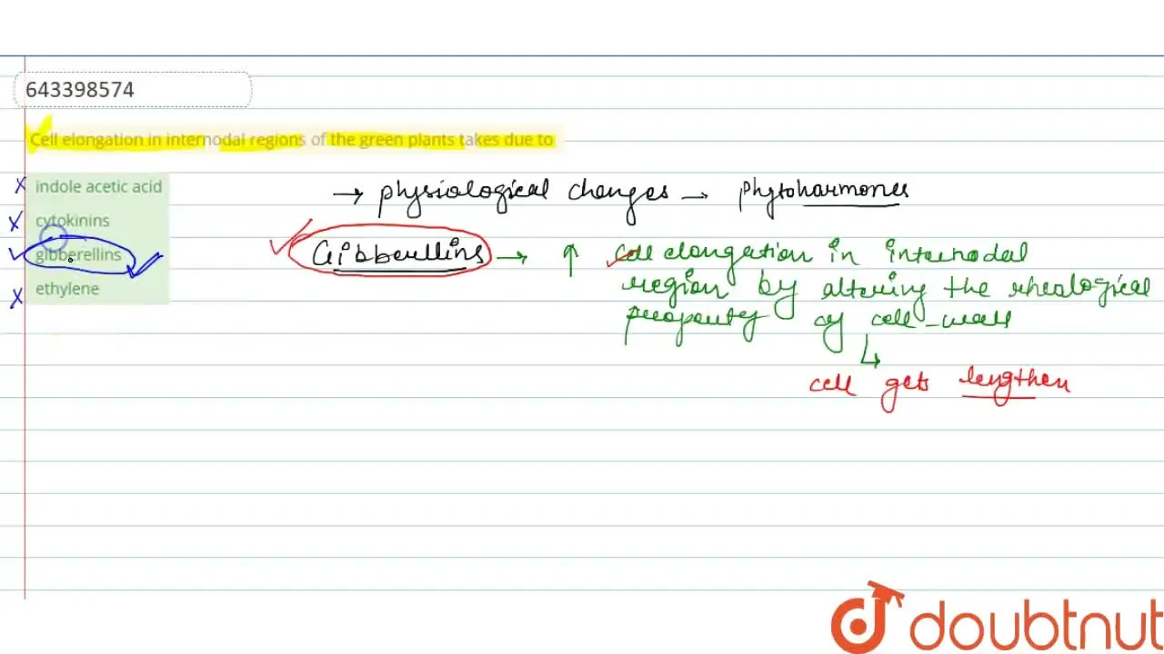 Cell elongation in internodal regions of the green plants takes due to