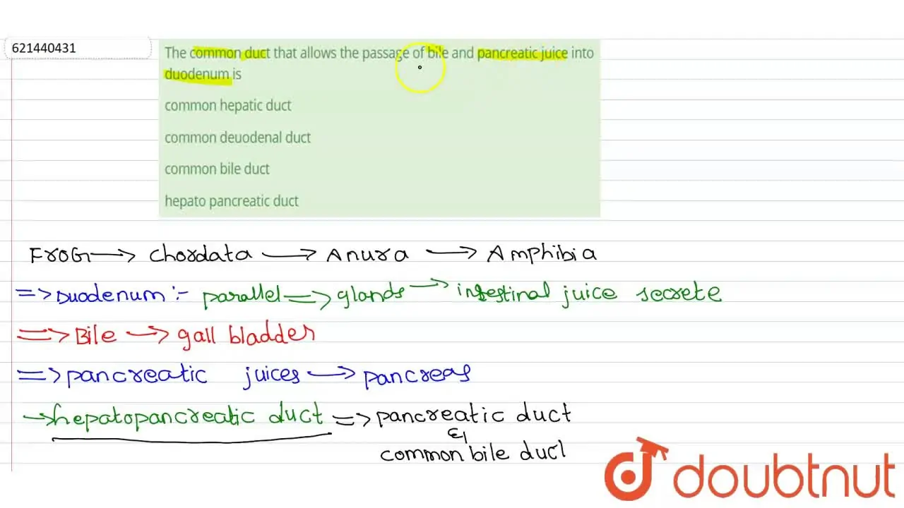 [Telugu Solution] The common duct that allows the passage of bile and