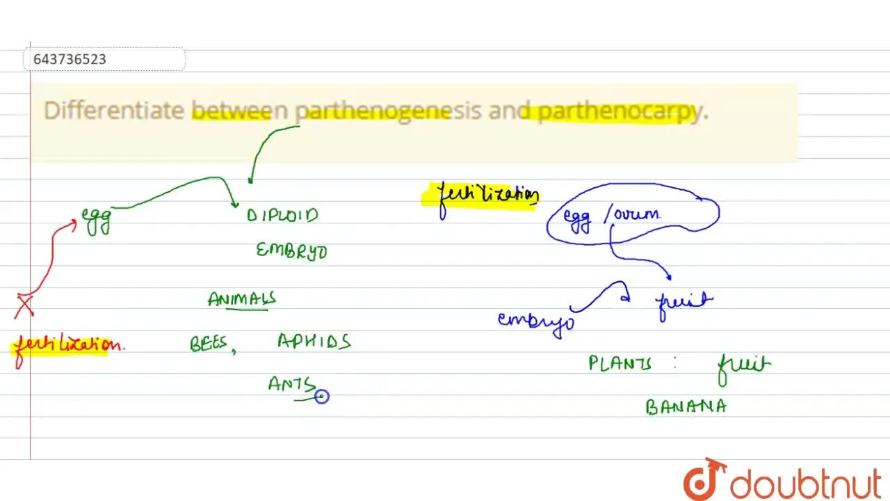 Differentiate between parthenogenesis and parthenocarpy.