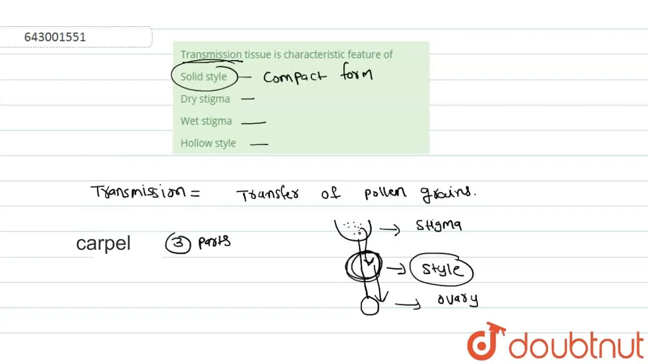 Transmission tissue is characteristic feature of