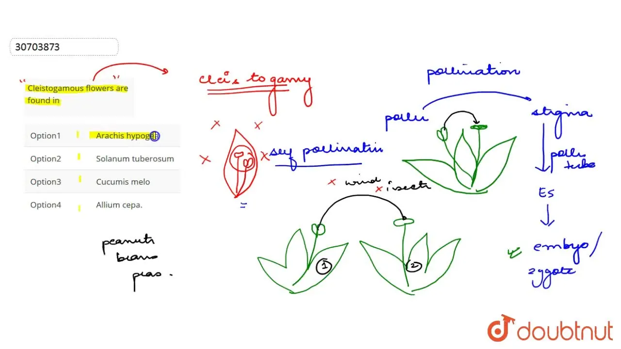 Cleistogamous flowers are found in