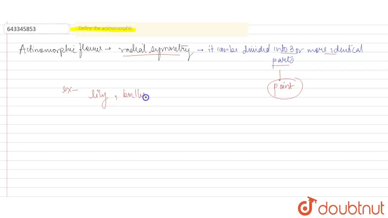 Define the term actinomorphic
