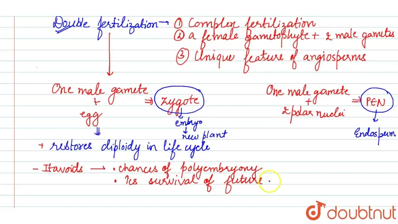 Write a short note on double fertilization.