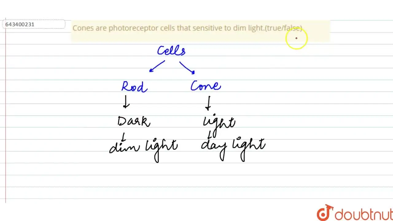 Cones are photoreceptor cells that sensitive to dim light.(true/false)