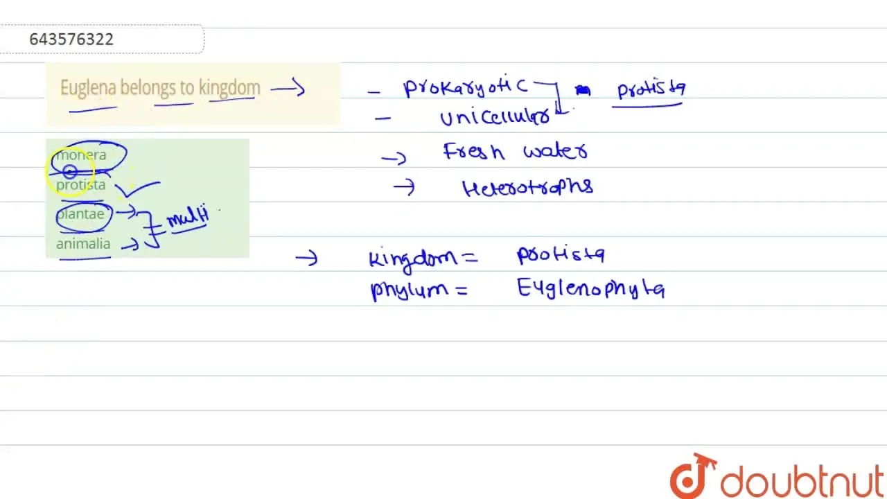 Euglena belongs to kingdom