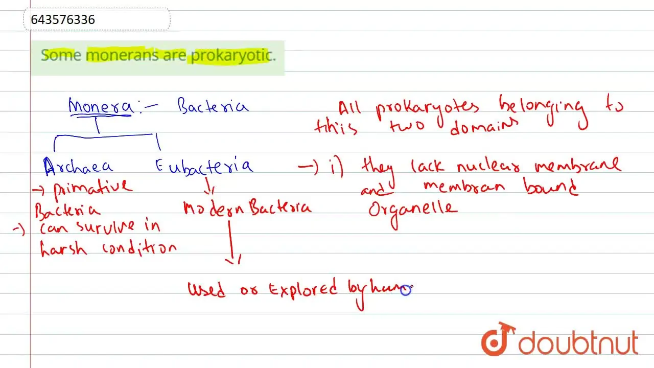 Some monerans are prokaryotic.