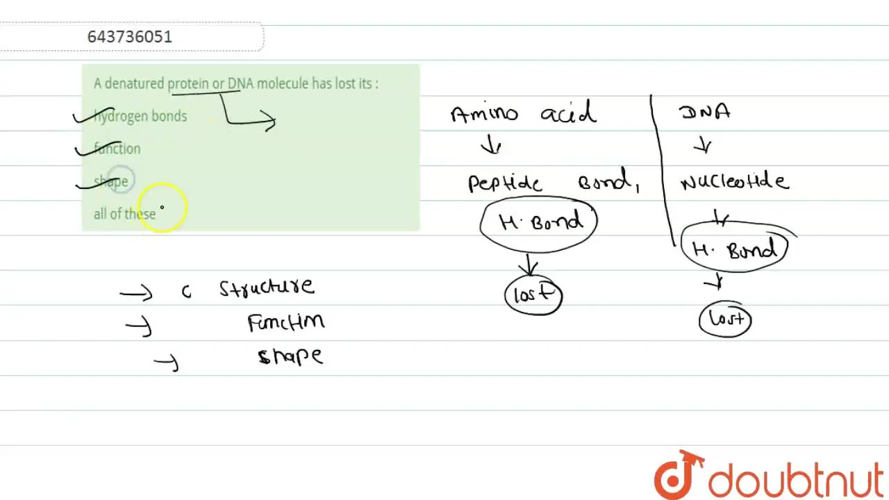 A denatured protein or DNA molecule has lost its