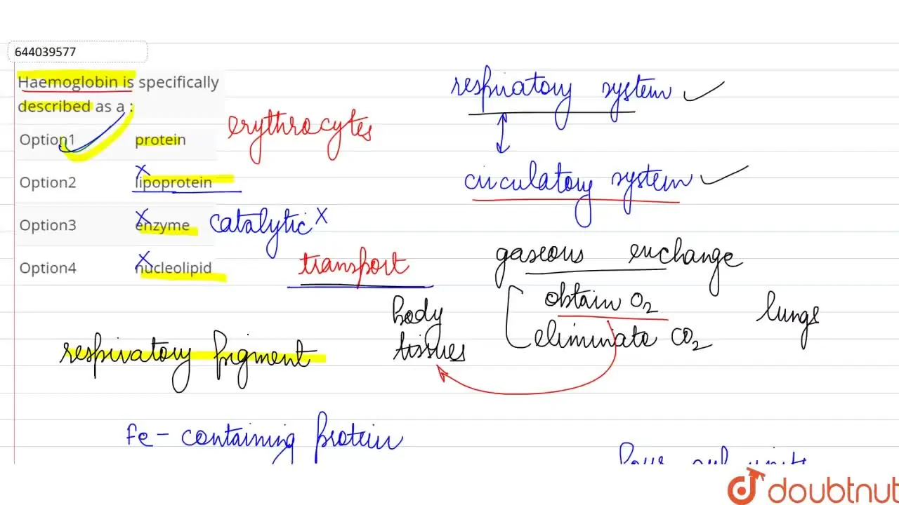 Haemoglobin Is Specifically Described As A   6694386.webp