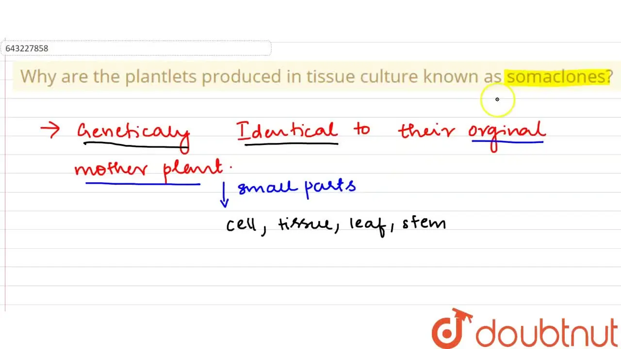 [Malayalam Solution] Why are the plantlets produced in tissue culture