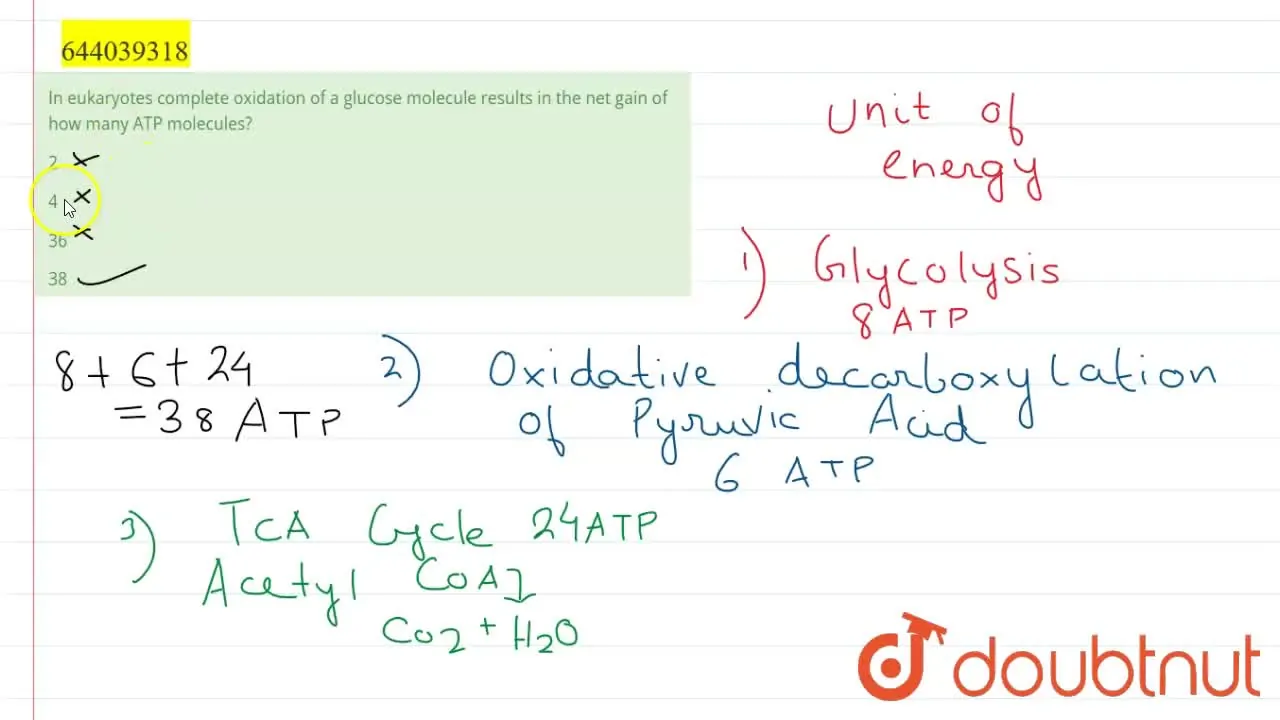 In eukaryotes complete oxidation of a glucose molecule results in the