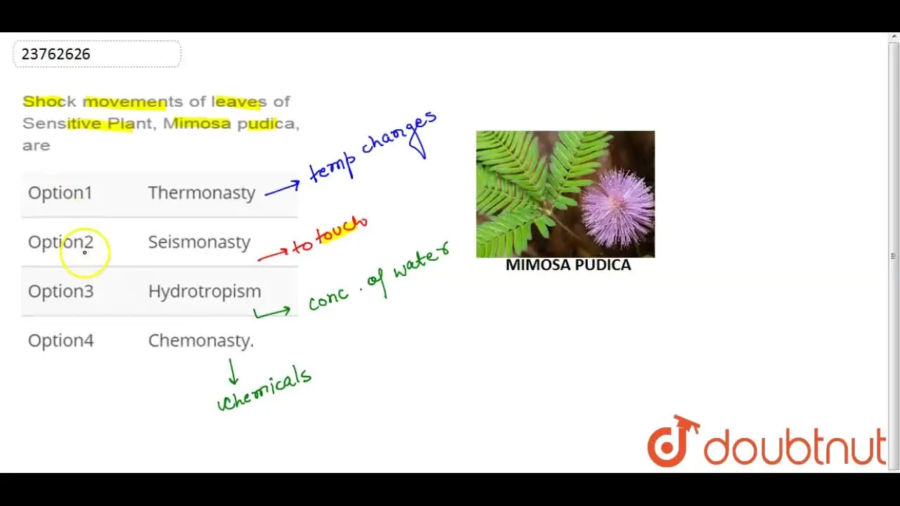 Shock Movements Of Leaves Of Sensitive Plant Mimosa Pudica Are