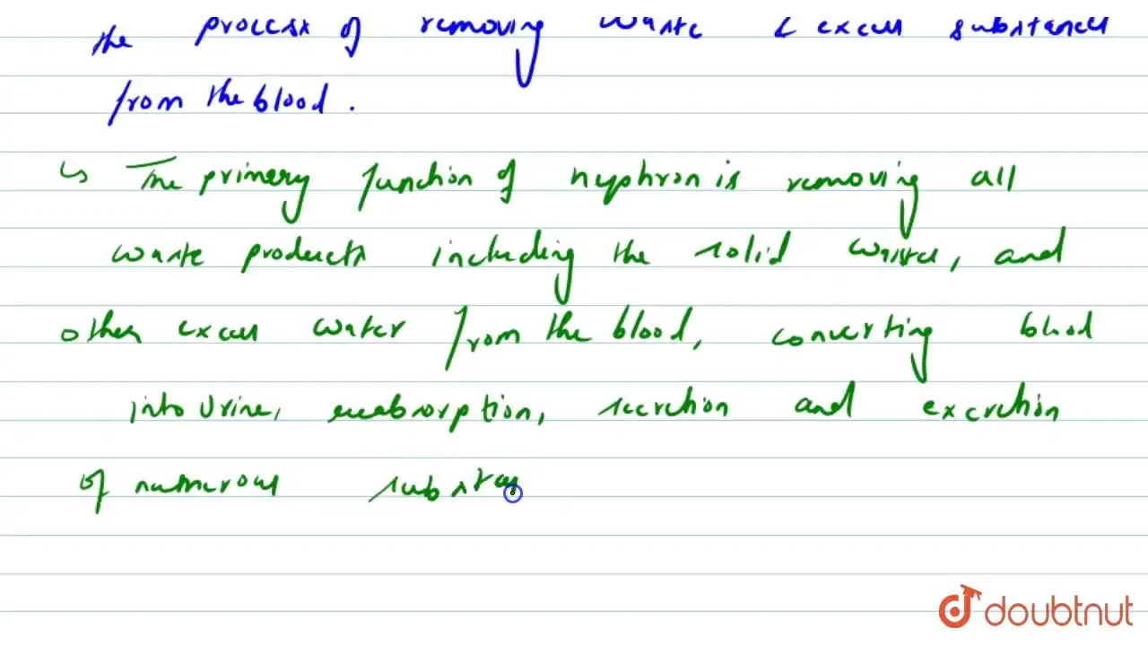 Write short notes on Nephron