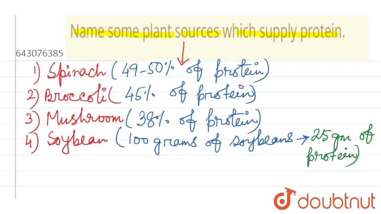 [Bengali Solution] Name some plant sources which supply protein.