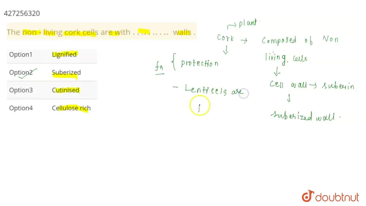 [Tamil Solution] The non living cork cells are with ………. walls
