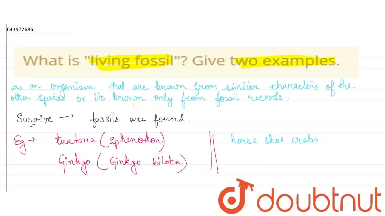 [Bengali Solution] What is "living fossil"? Give two examples.