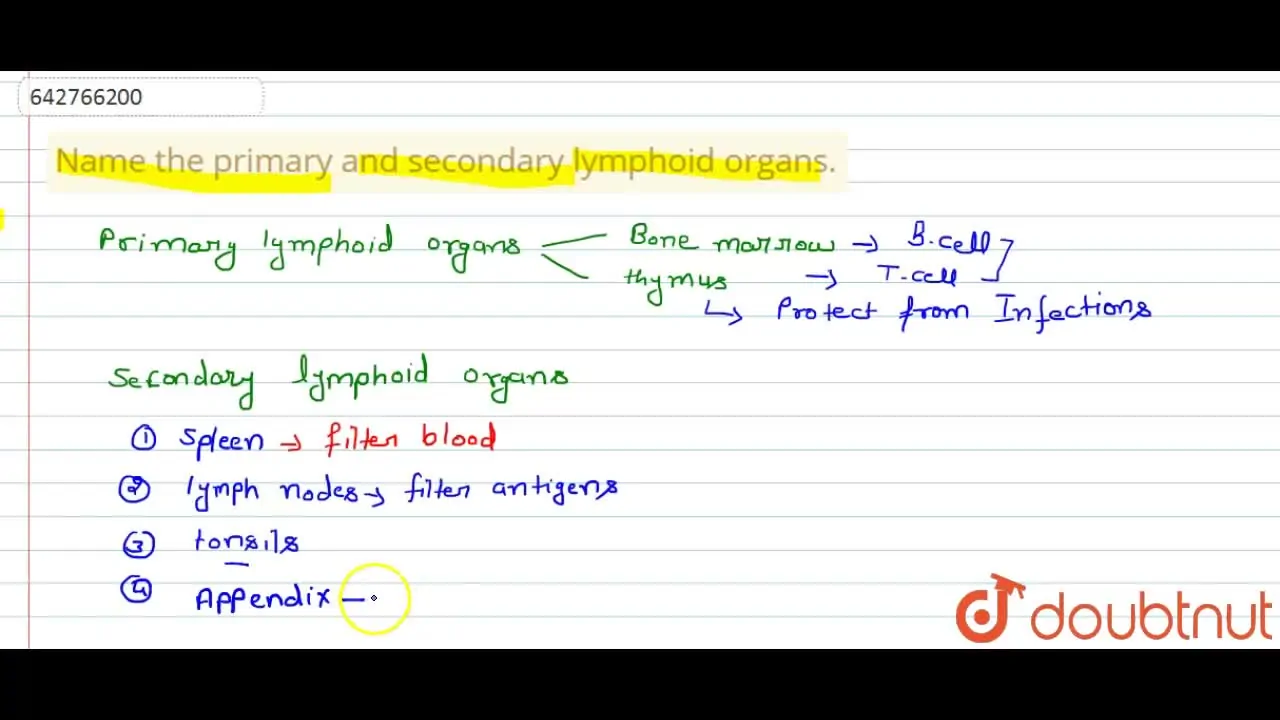 [Punjabi Solution] Name the primary and secondary lymphoid organs.