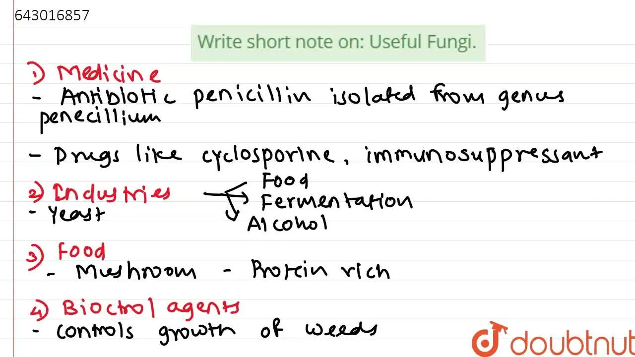 [Marathi Solution] Write short note on Useful Fungi.