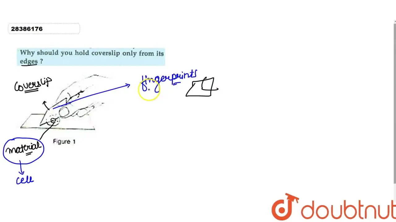 Why should you hold coverslip only from its edges