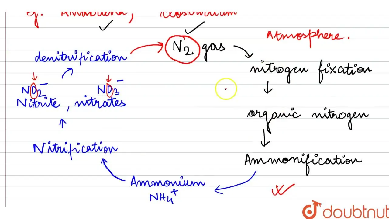 Occurrence, Preparation, and Properties of Nitrogen | Chemistry: Atoms First