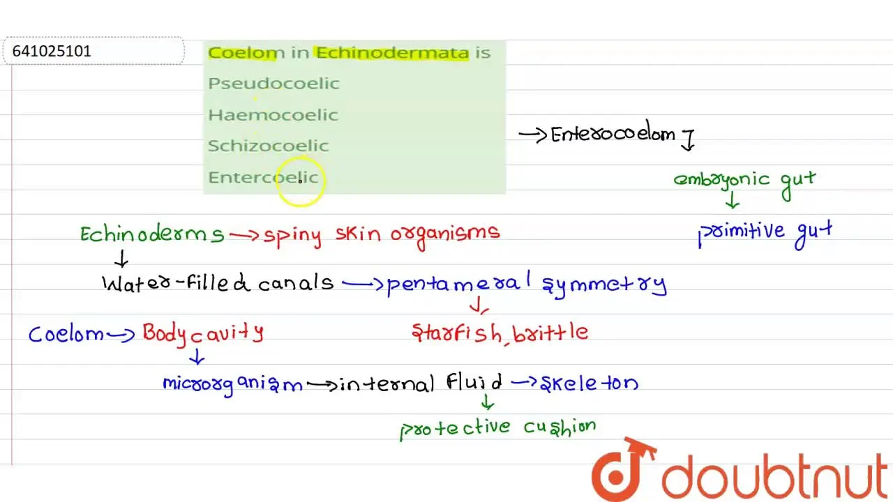 [Telugu Solution] Coelom in Echinodermata is