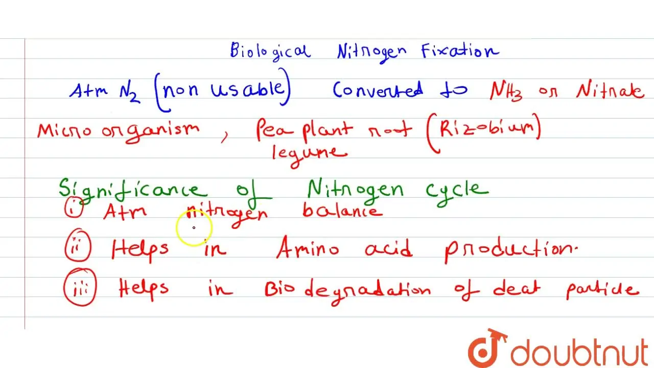 [Bengali Solution] Describe the biological nitrogenfixation. What is