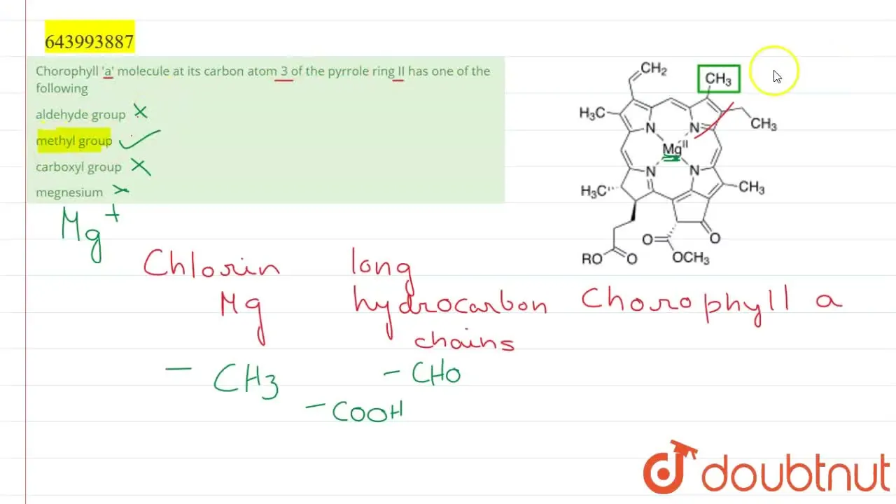 What is difference the structure of chlorophyll a and chlorophyll b?