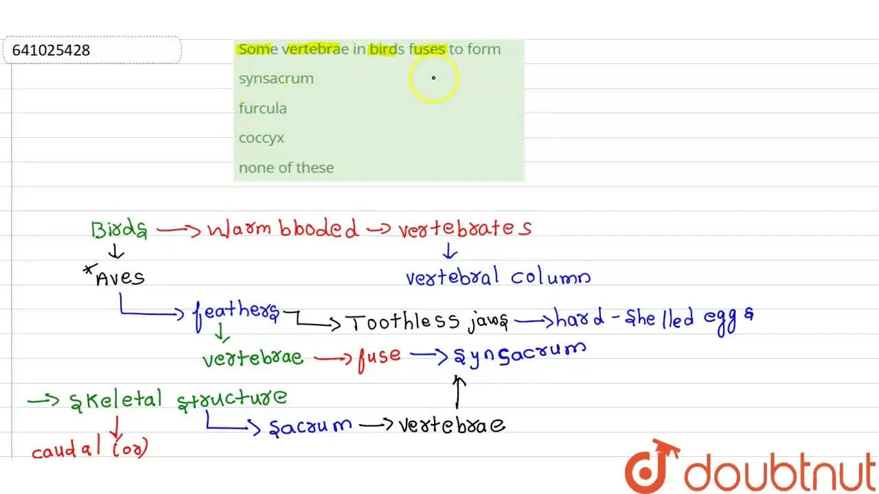 [Telugu Solution] Some vertebrae in birds fuses to form