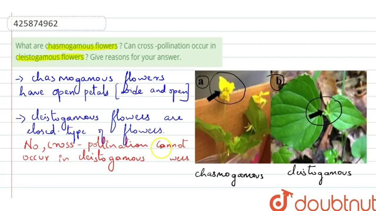 [Tamil Solution] What are chasmogamous flowers ? Can cross pollinati