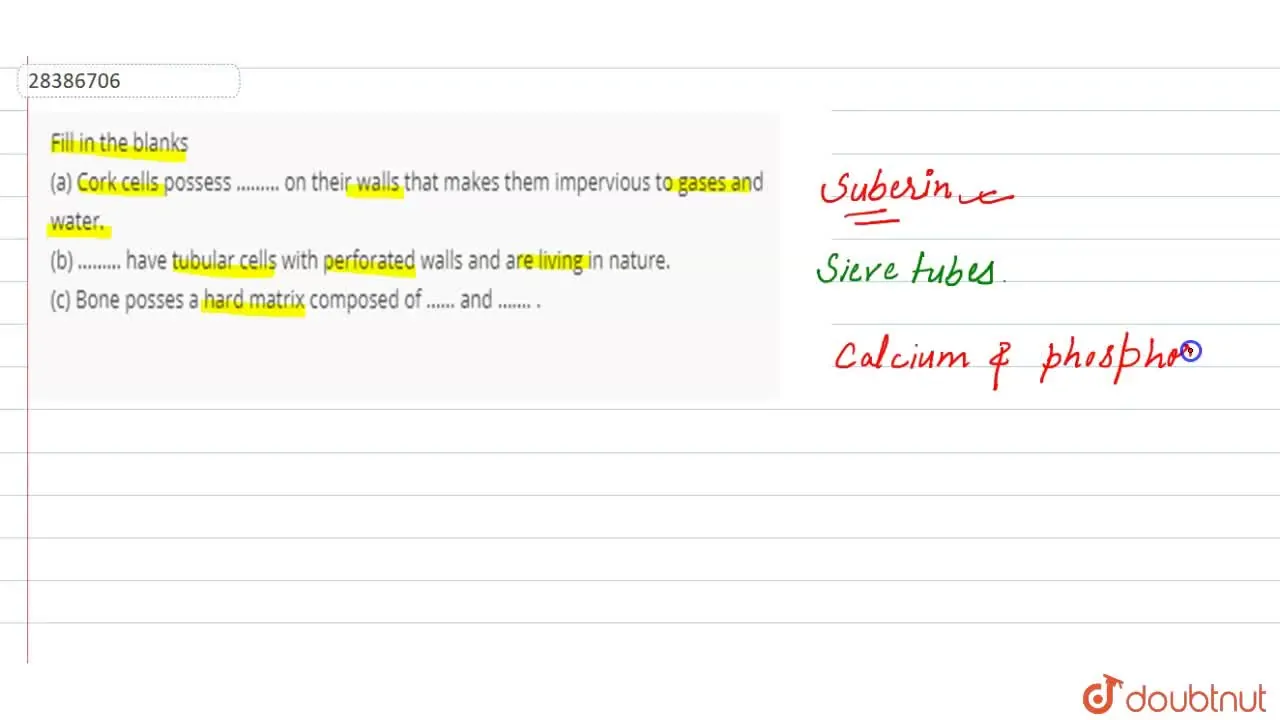 Fill in the blanks (a) Cork cells possess ……… on their walls that ma