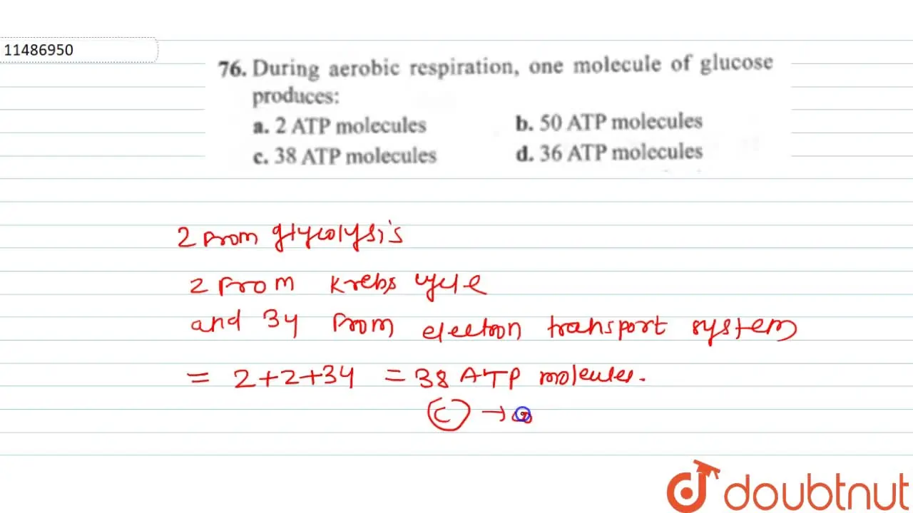 during-aerobic-respiration-one-molecule-of-glucose-produces