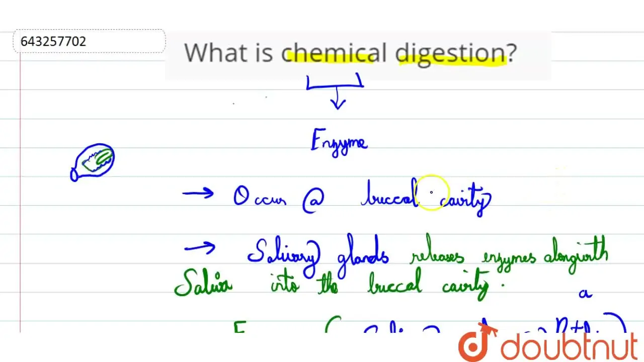 Tamil Solution What Is Chemical Digestion