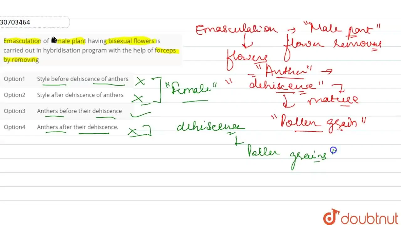 Emasculation of female plant having bisexual flowers is carried out in