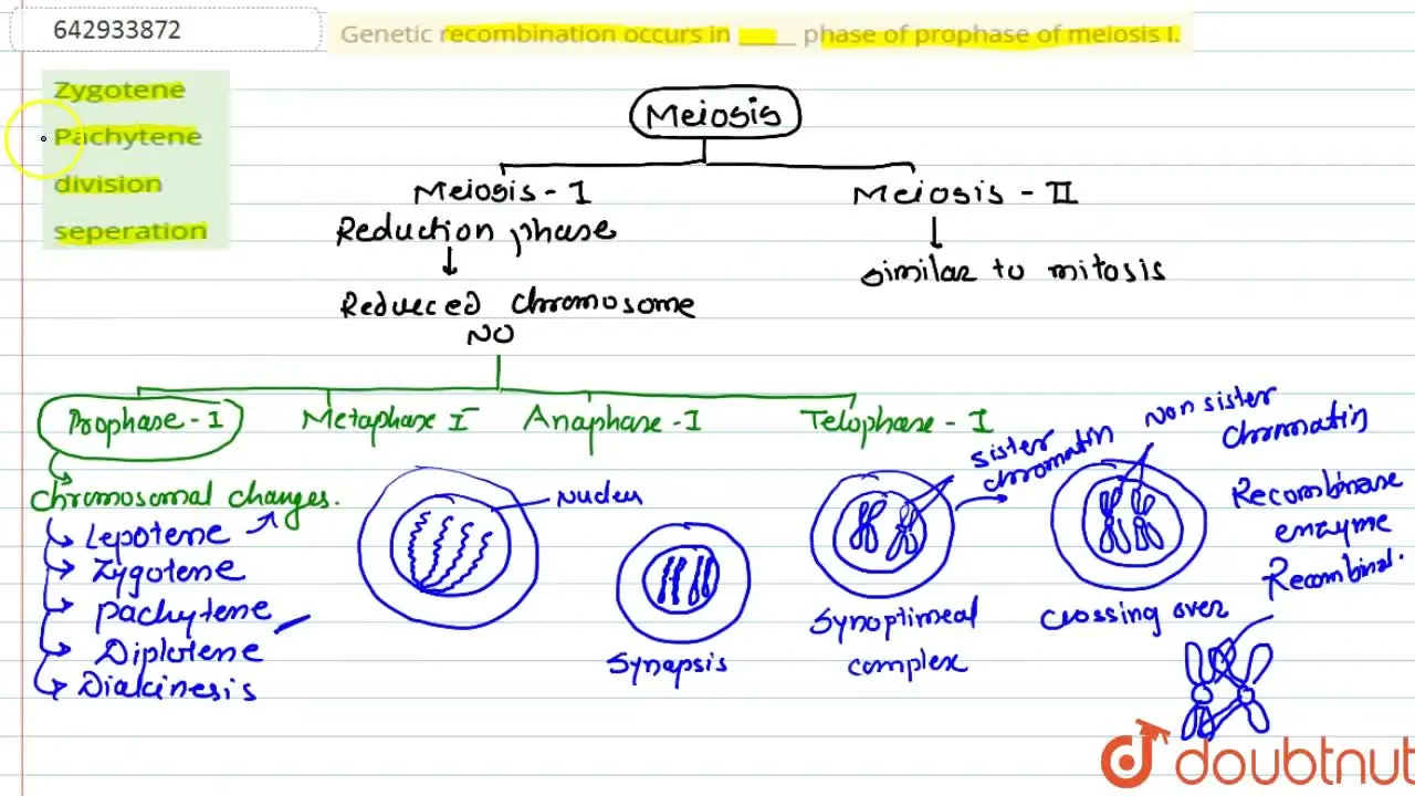[Marathi Solution] occurs in phase of prophase