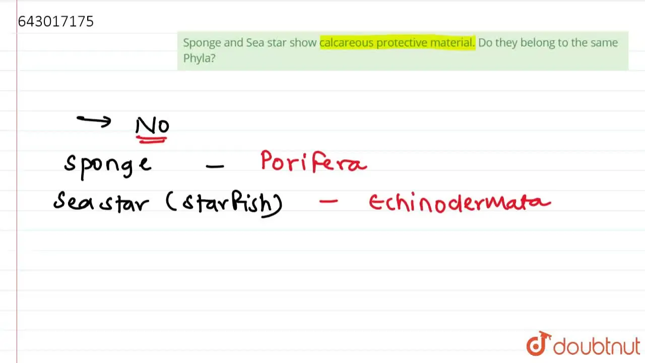 [Marathi Solution] Sponge and Sea star show calcareous protective mate
