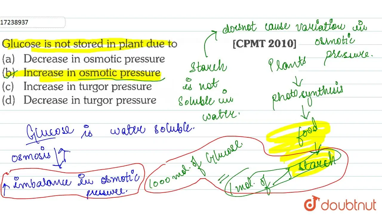 Glucose is not stored in plant due to