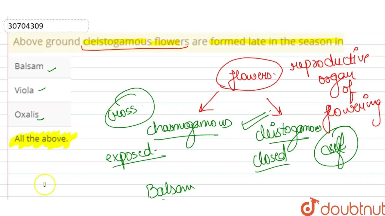 Above ground cleistogamous flowers are formed late in the season in