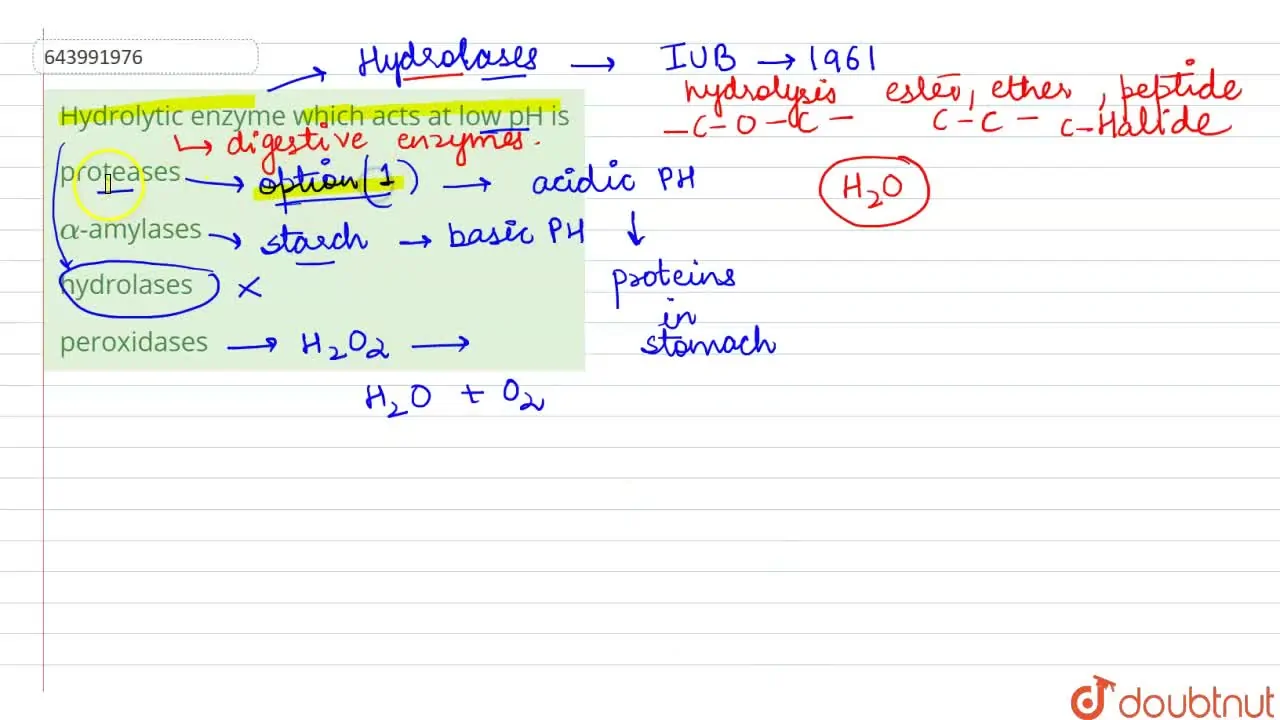 Hydrolytic enzymes which act at low pH are called as