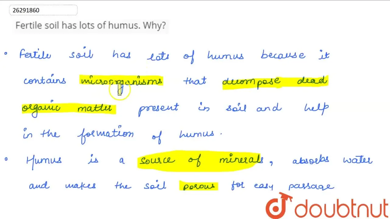 Fertile soil has lots of humus. Why?