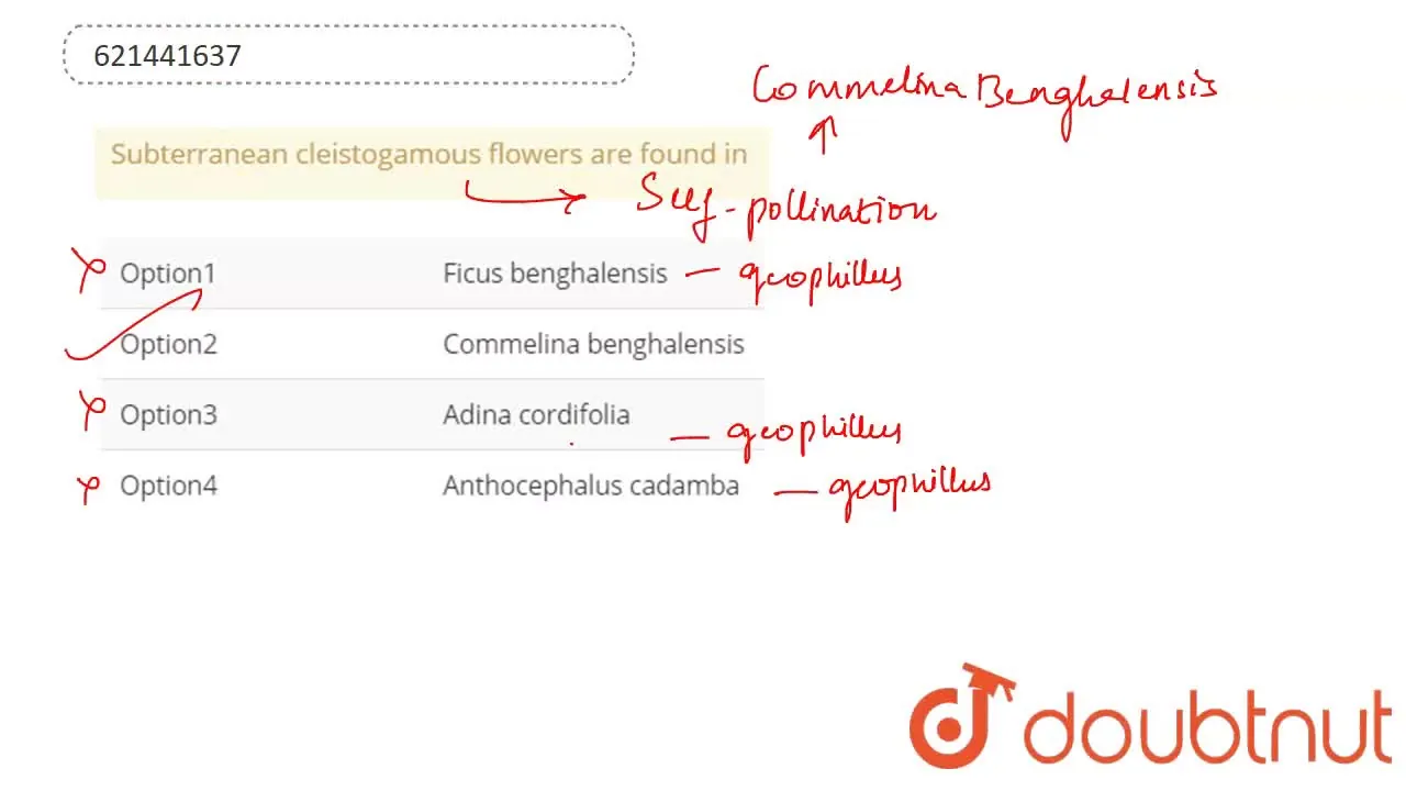 [Telugu Solution] Subterranean cleistogamous flowers are found in