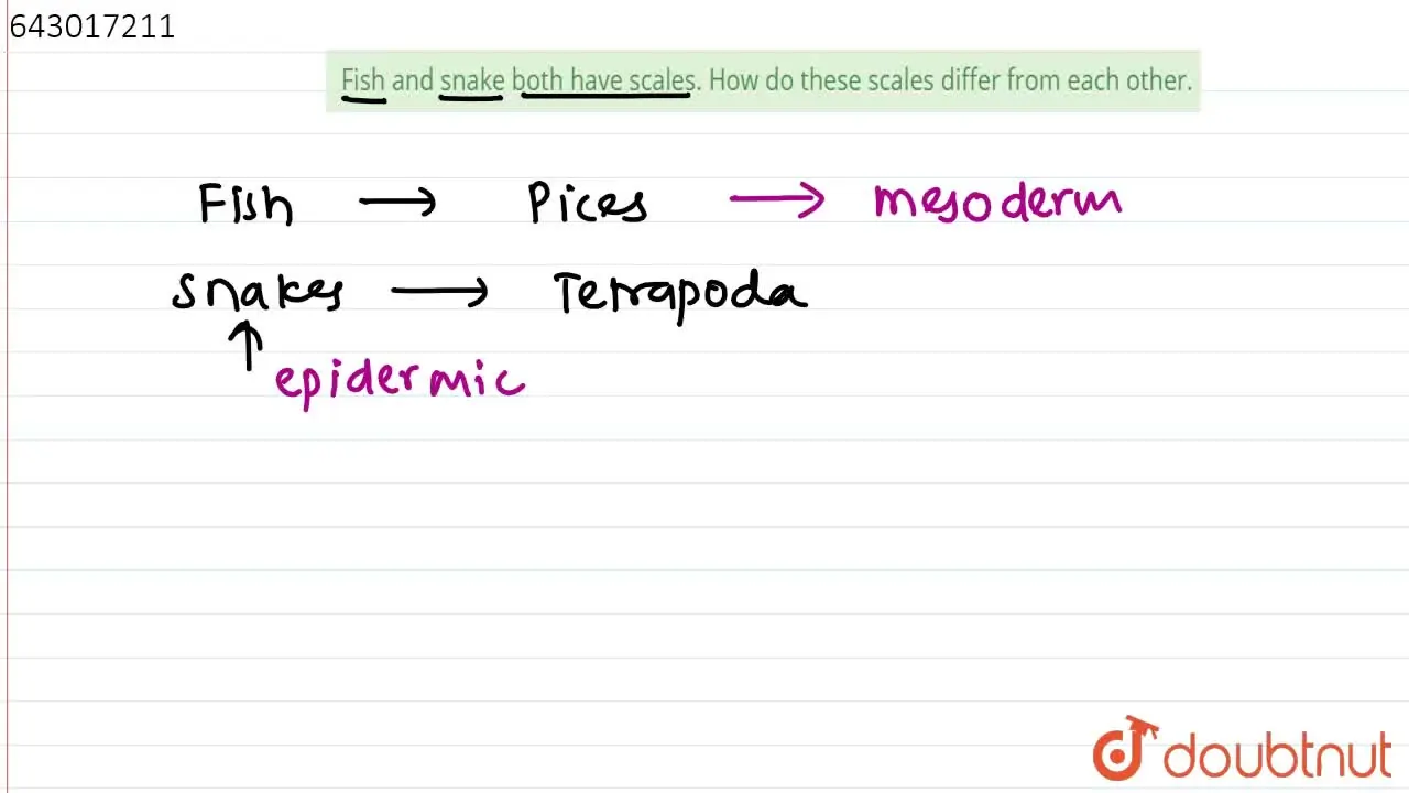 [Marathi Solution] Fish and snake both have scales. How do these scale