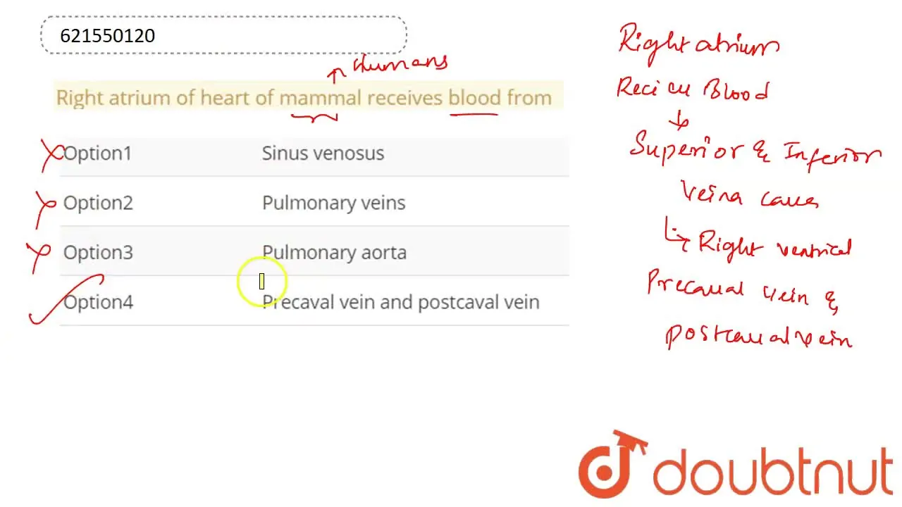 [Telugu Solution] Right atrium of heart of mammal receives blood from