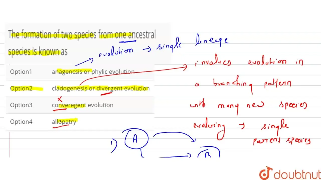 The formation of two species from one ancestral species is known as