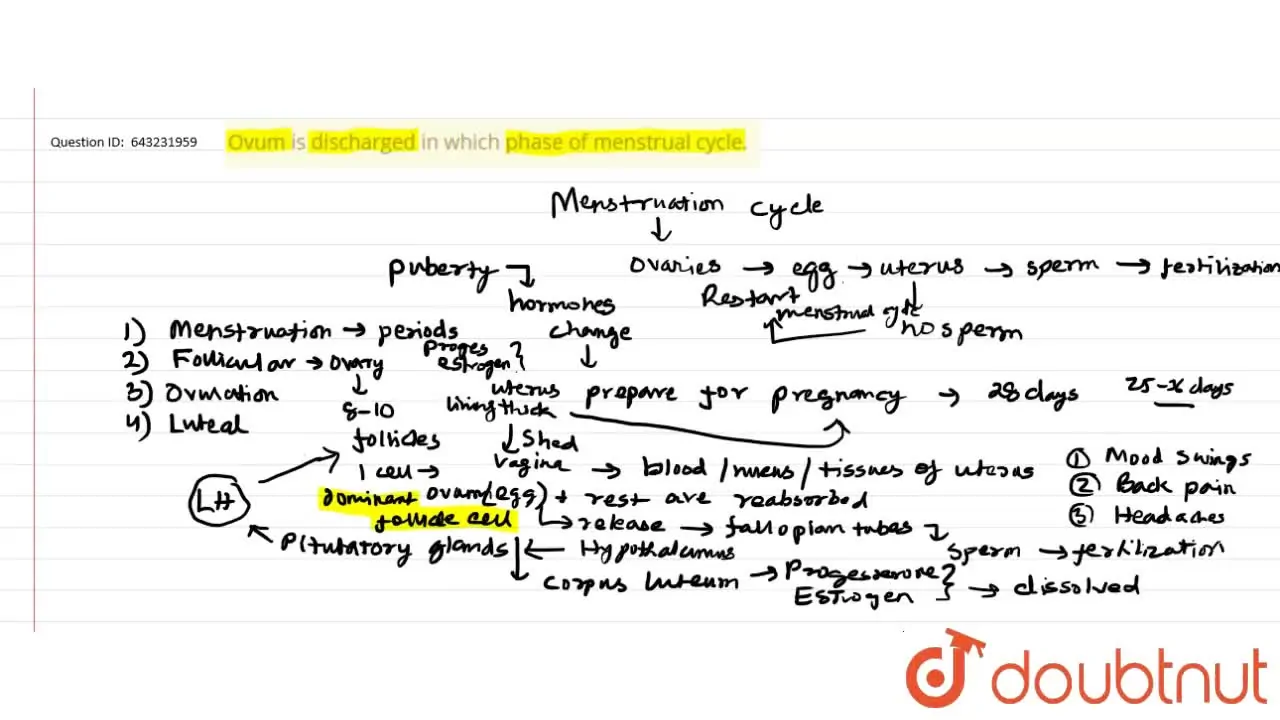 Bengali Solution] What is the duration of luteal phase during menstru