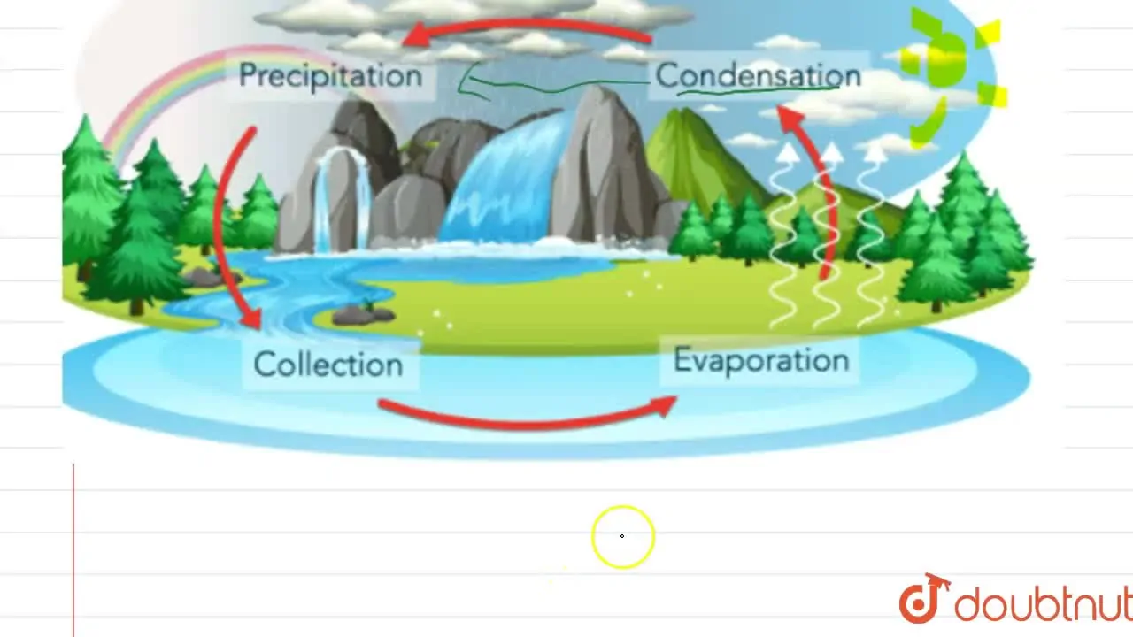 [Punjabi Solution] Write a few properties of water. Sketch water Cycle