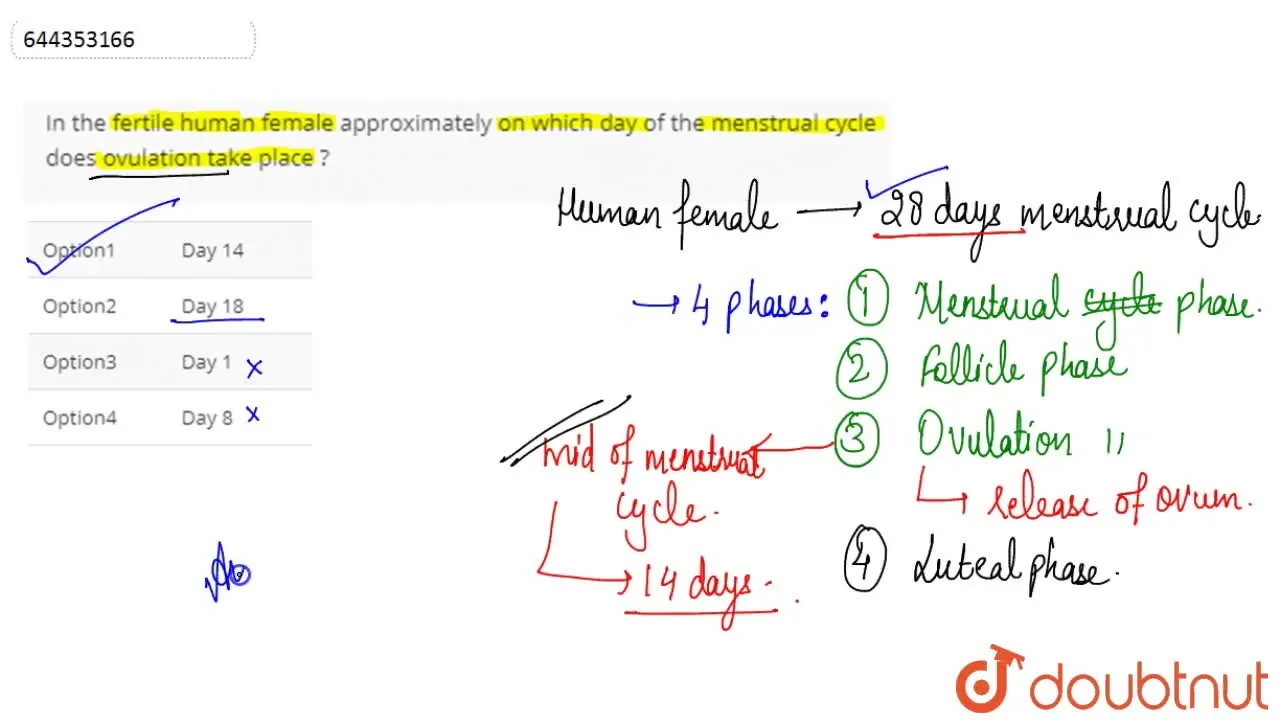 In The Fertile Human Female Approximately On Which Day Of The M in-the-fertile-human-female-approximately-on-which-day-of-the-m