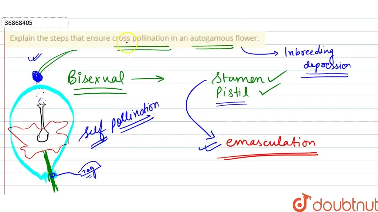 Explain the steps that ensure cross pollination in an autogamous flowe