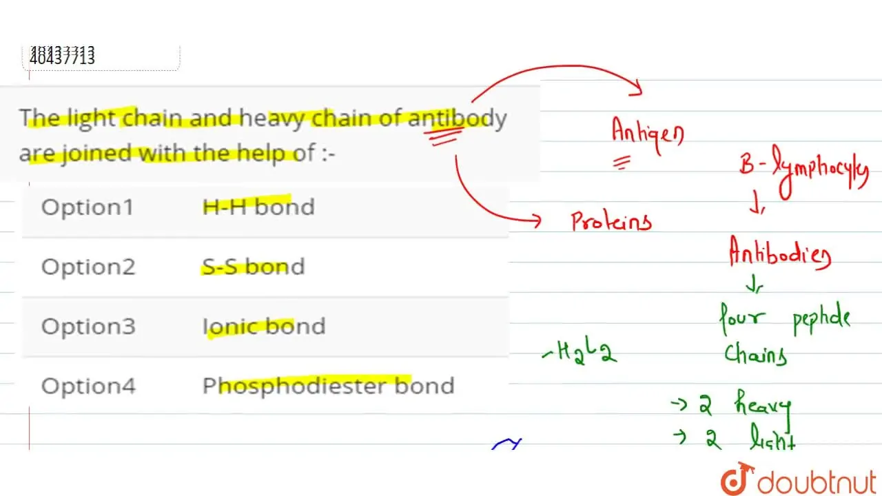 The light chain and heavy chain of antibody are joined with the help of :-